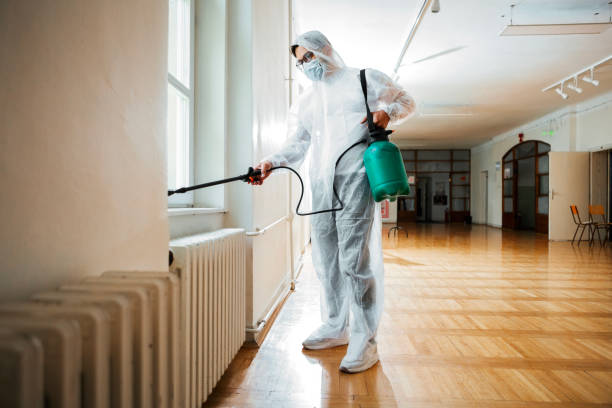 Best Real Estate Pest Inspections  in Wood Dale, IL